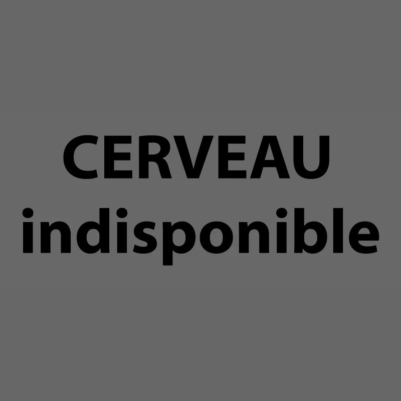 CERVEAU indisponible