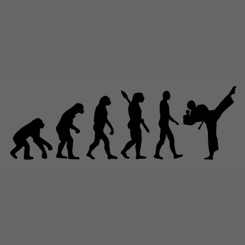 Evolution Karate