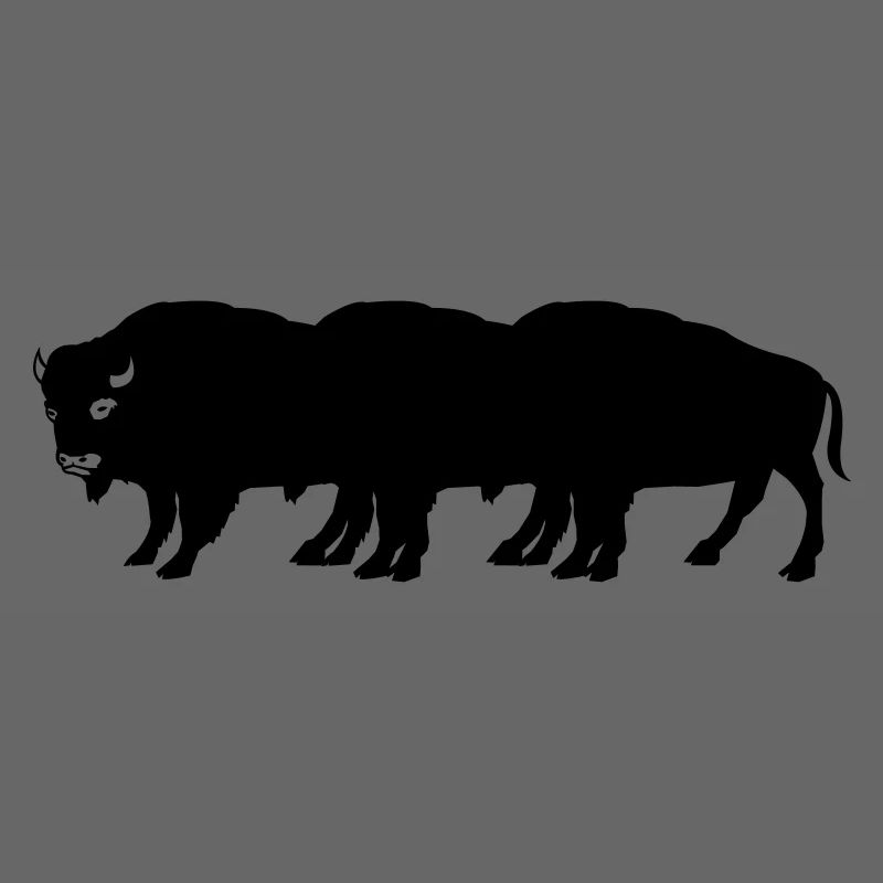 bisons