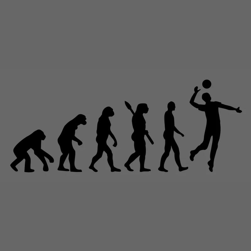Evolution Volleyball