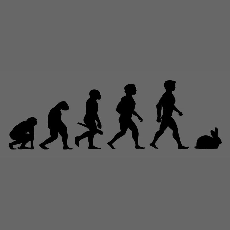 Evolution lapins lapin lapin rongeurs