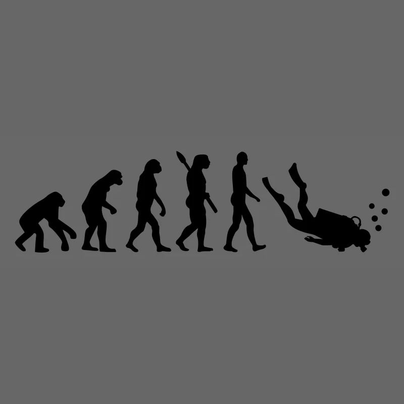 Évolution Plongée