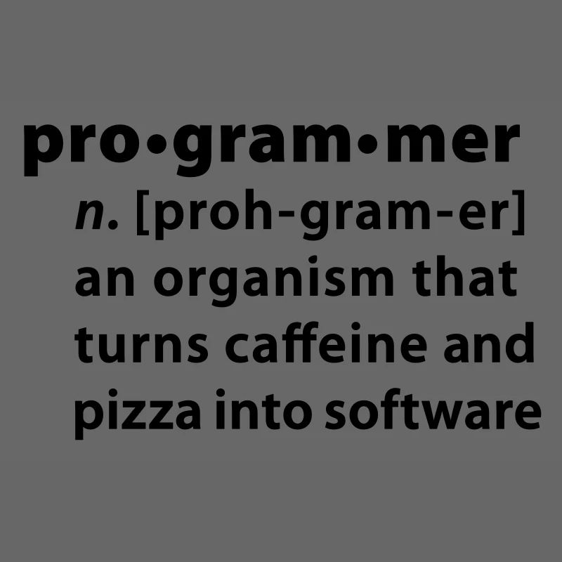 Programmer Wörterbuchdefinition