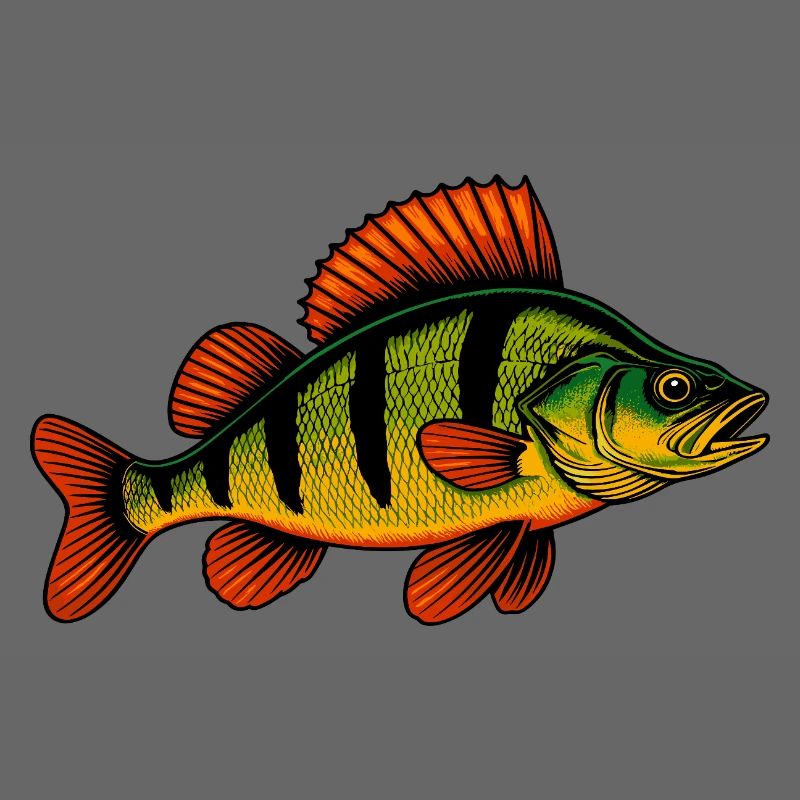 Perche Perche Perche Perche Perche Pêche Perche Perche