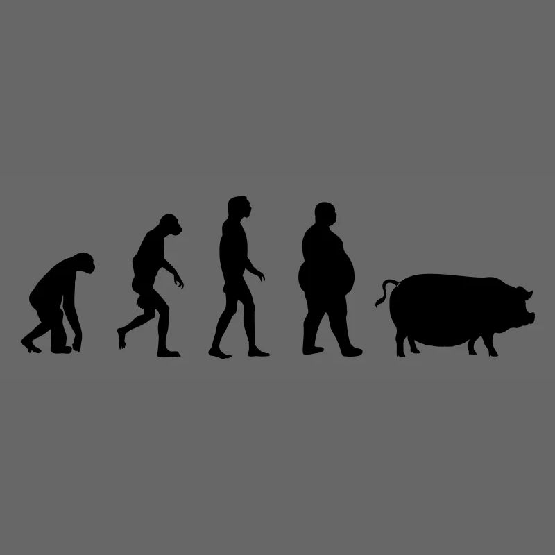 Evolution du singe à l'homme de porc