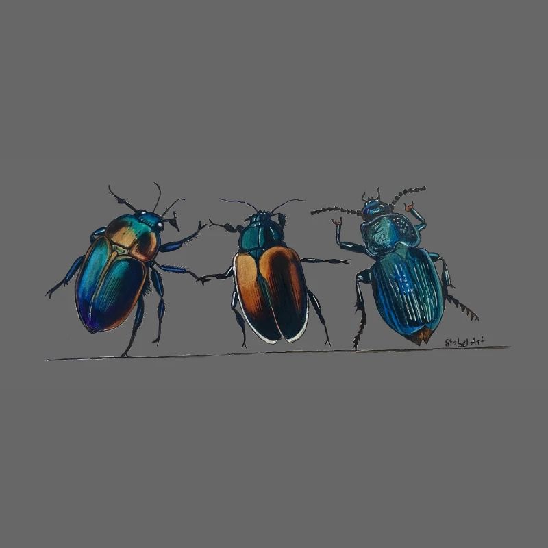 3Käfer