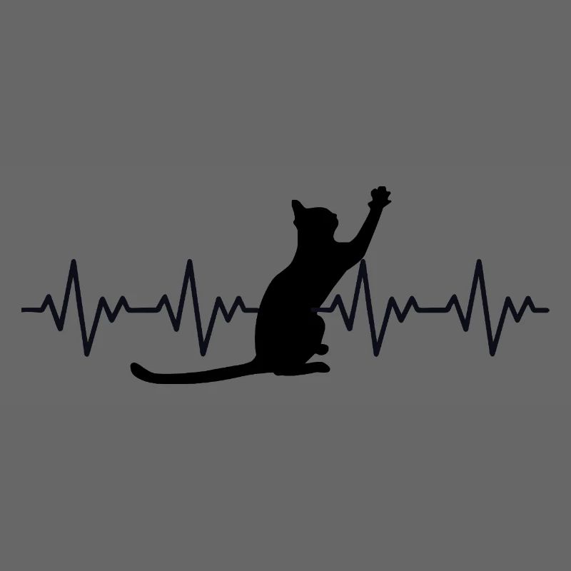 Katze EKG Herzfrequenz Herzschlag