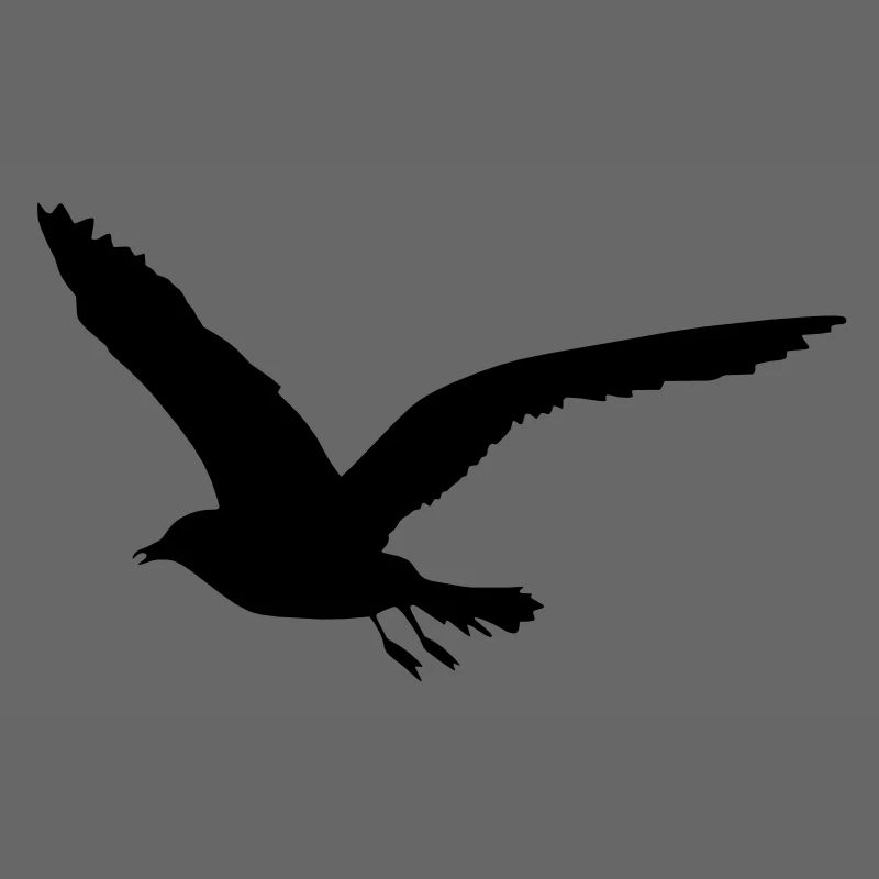 Möwe
