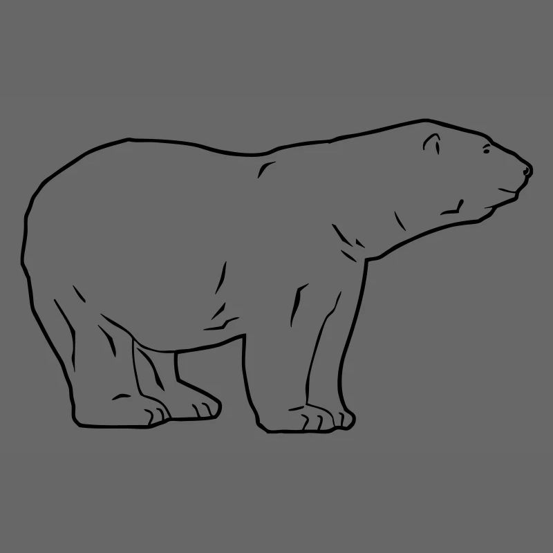 Polar Bear - Eisbär