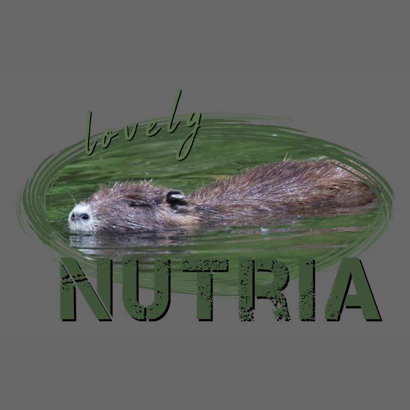Nutria Biber Biberratte Wasserratte