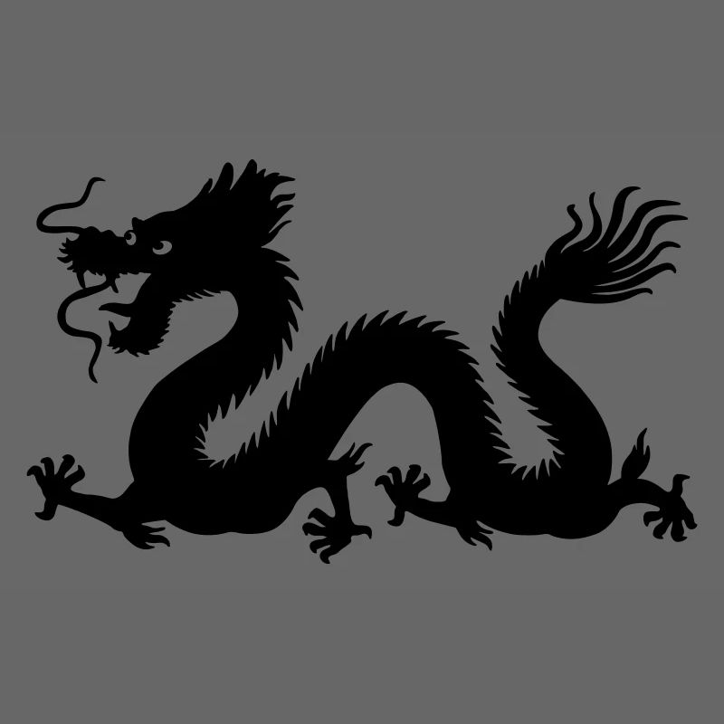 Image d’ombre de dragon année du dragon