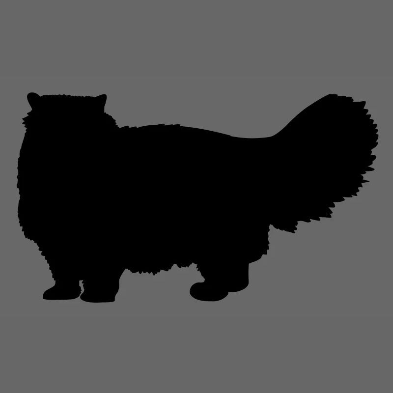 Chat persan