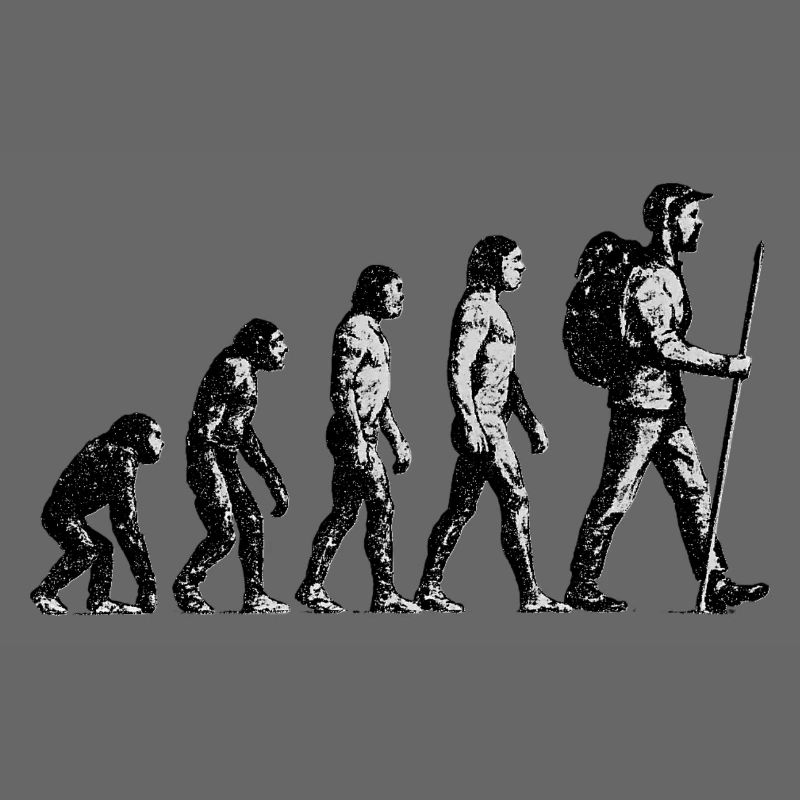 Évolution vers le design grunge Wandersmann