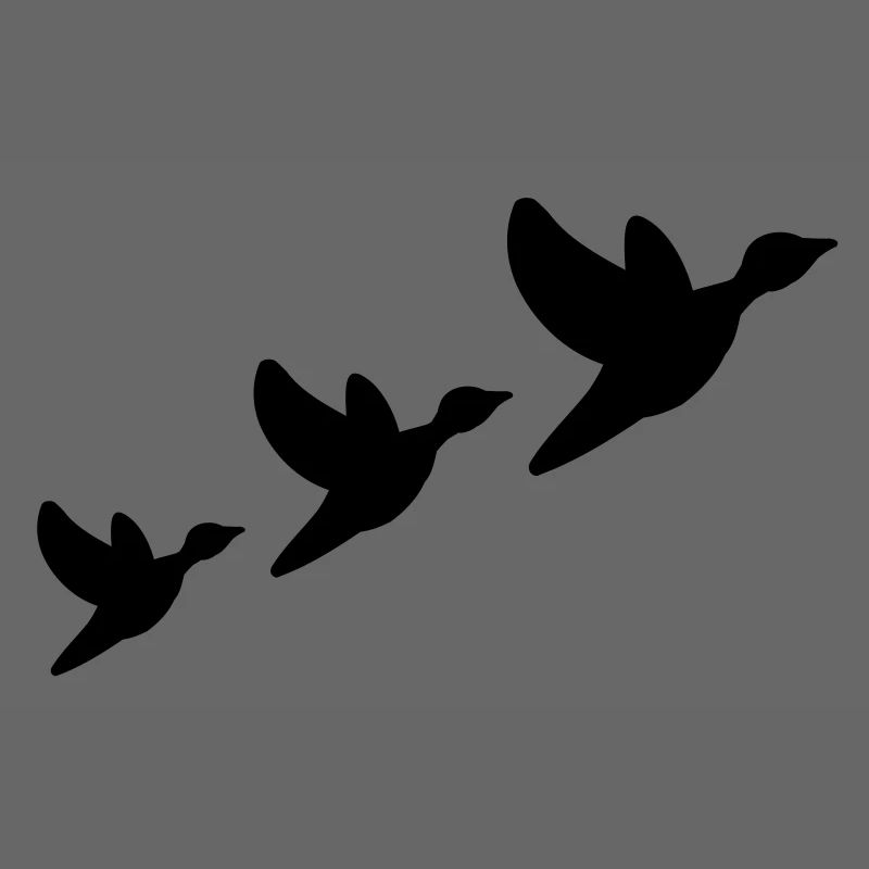 ducks