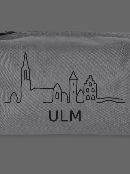 Ulm Skyline