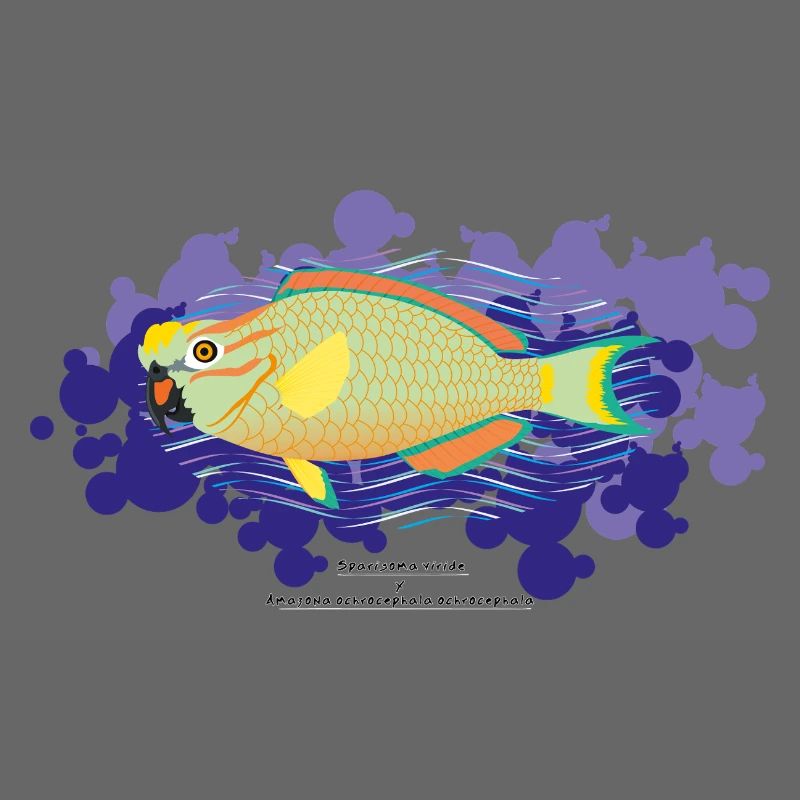 Papageienfisch / Hybride