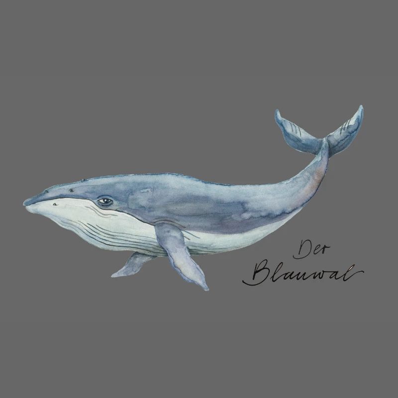 Der Blauwal