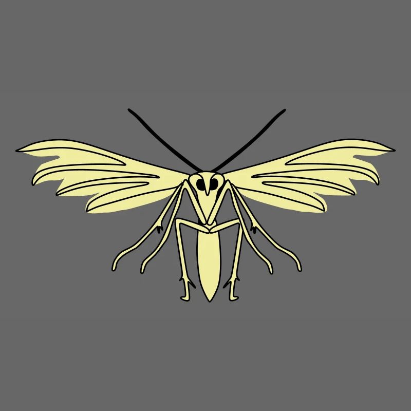 Feather moth