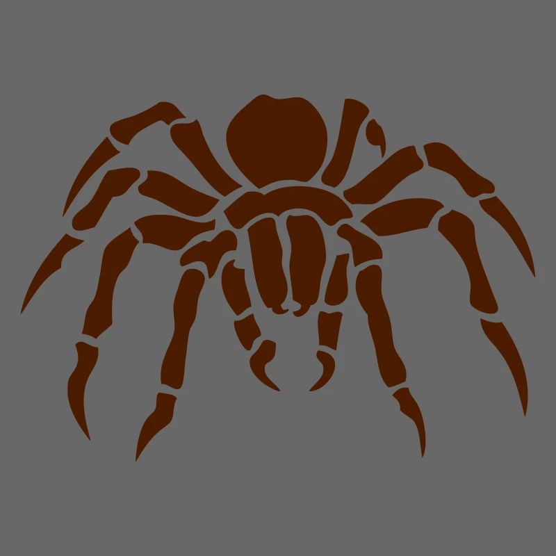 araignee spider spinne ragno arana 2011