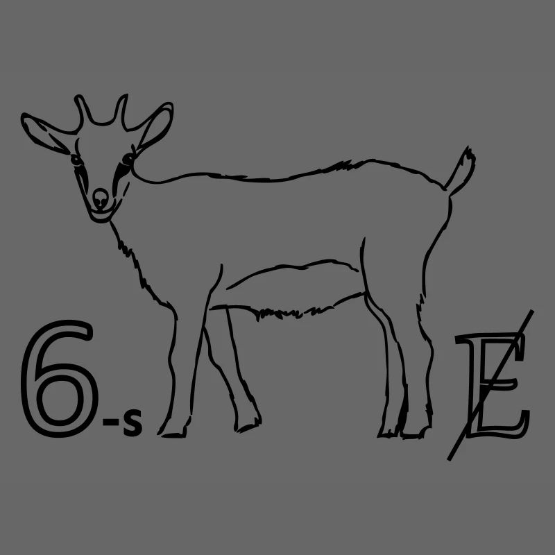 6zig