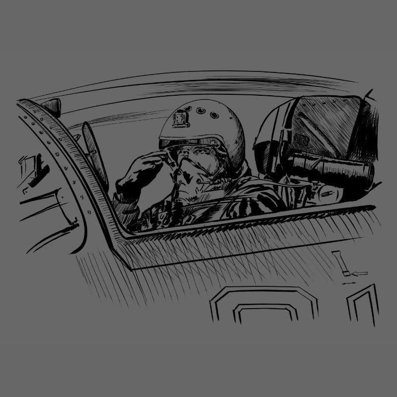 Fighter pilot