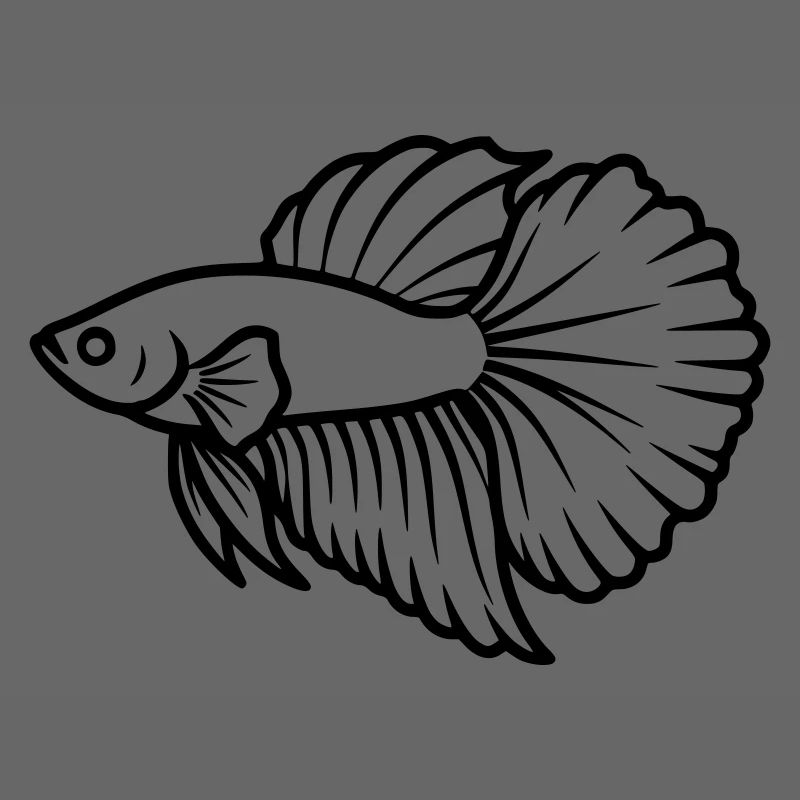 Kampffisch Betta Splendens Aquarium