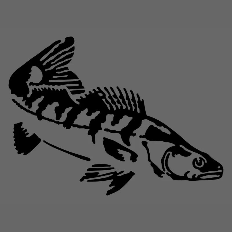 Zander