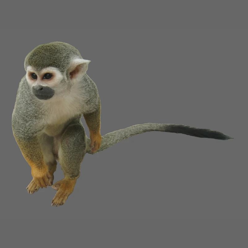 Affe