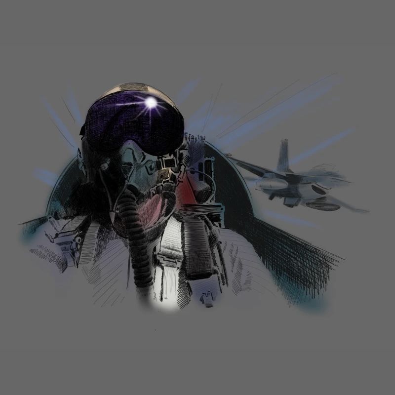 Fighter pilot
