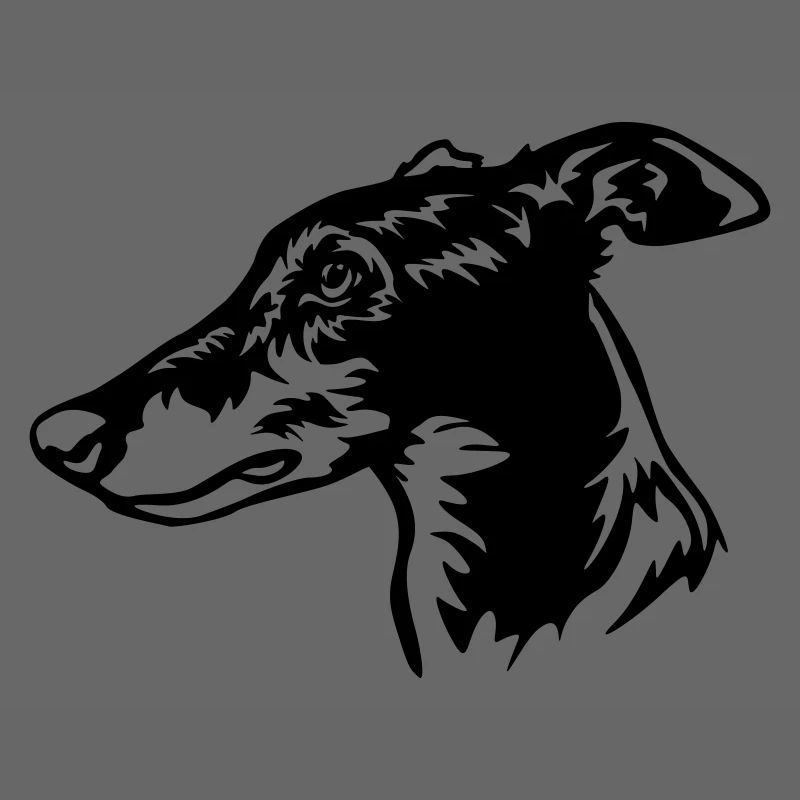Greyhound Kopf