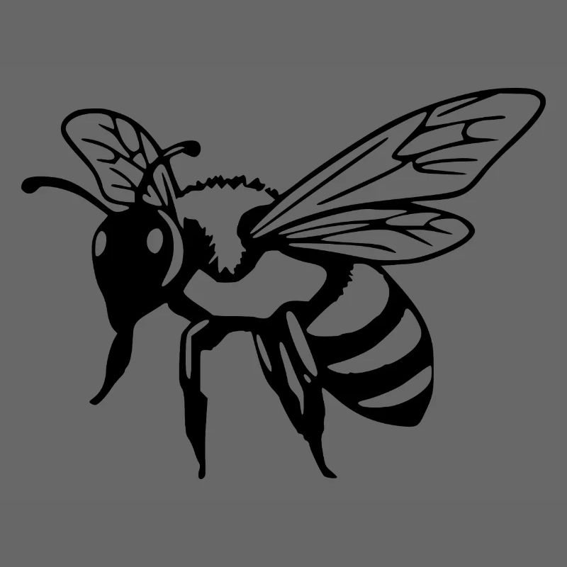 Bee Black Black Bee