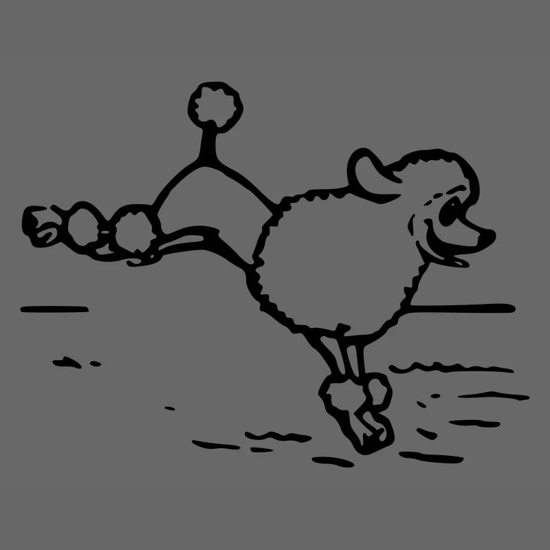 A poodle