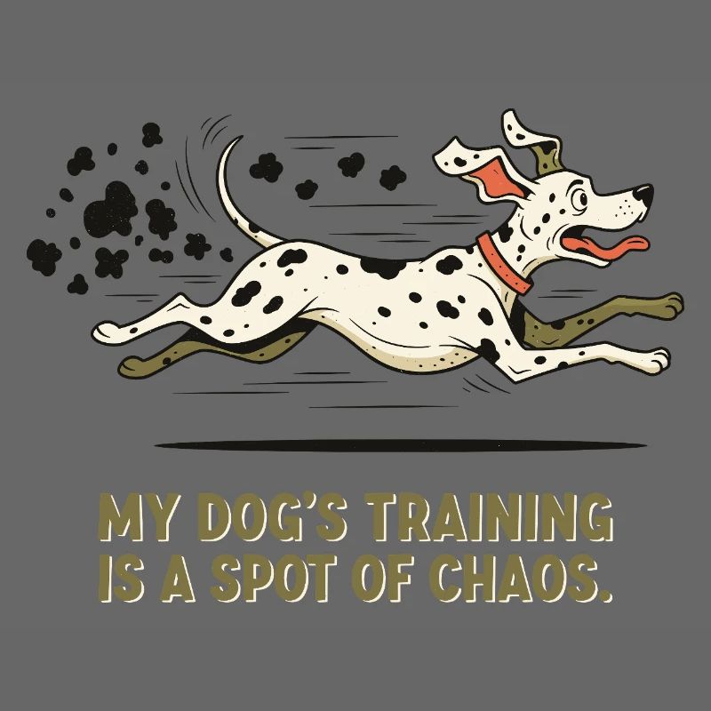 Das Training meines Hundes ist ein Fleckchen Chaos