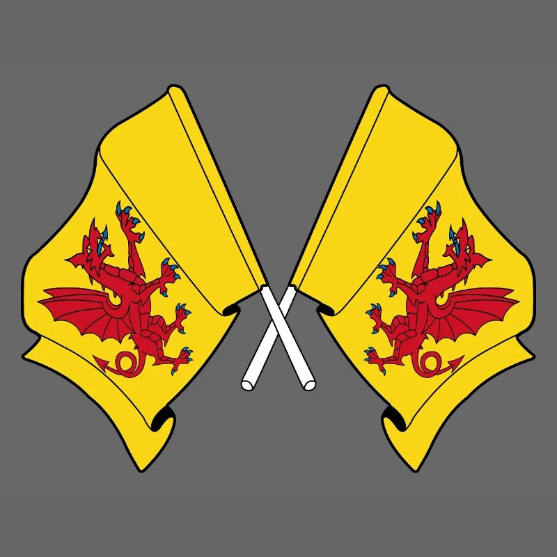 Two flags crossed – Somerset