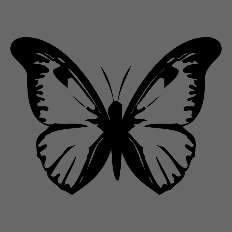 Schmetterling