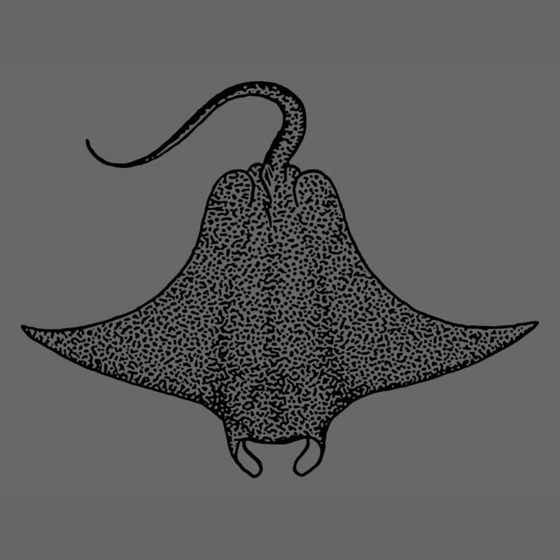 Teufelsrochen