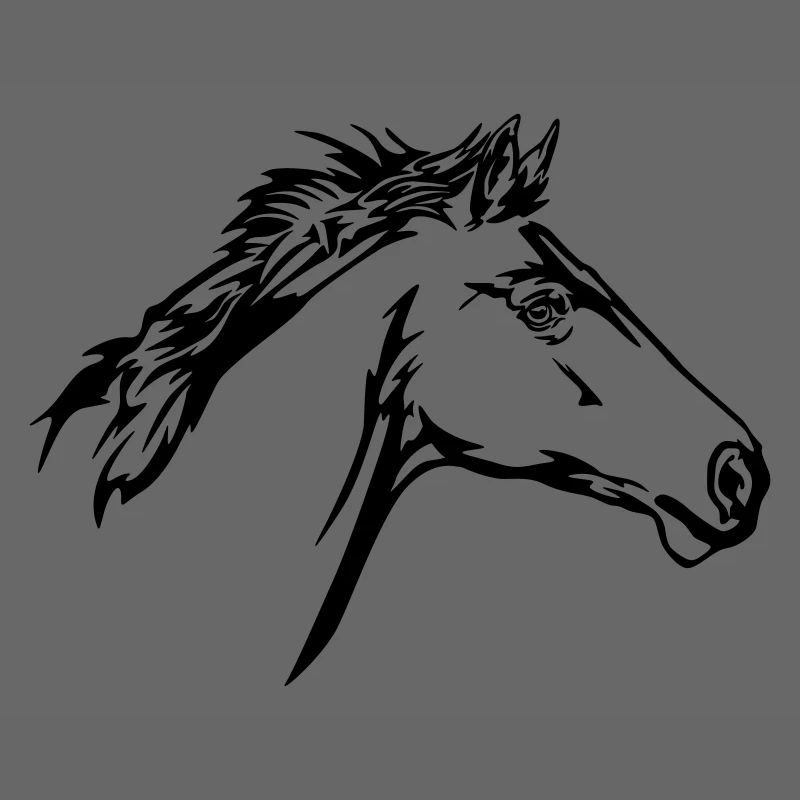 Tête de cheval en course