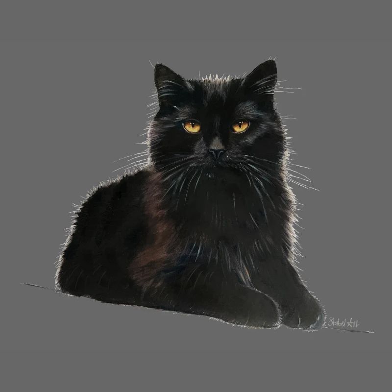 Katze