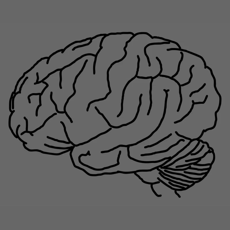Cerveau