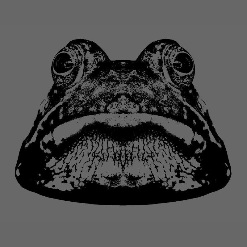 Frog / frog / graphic