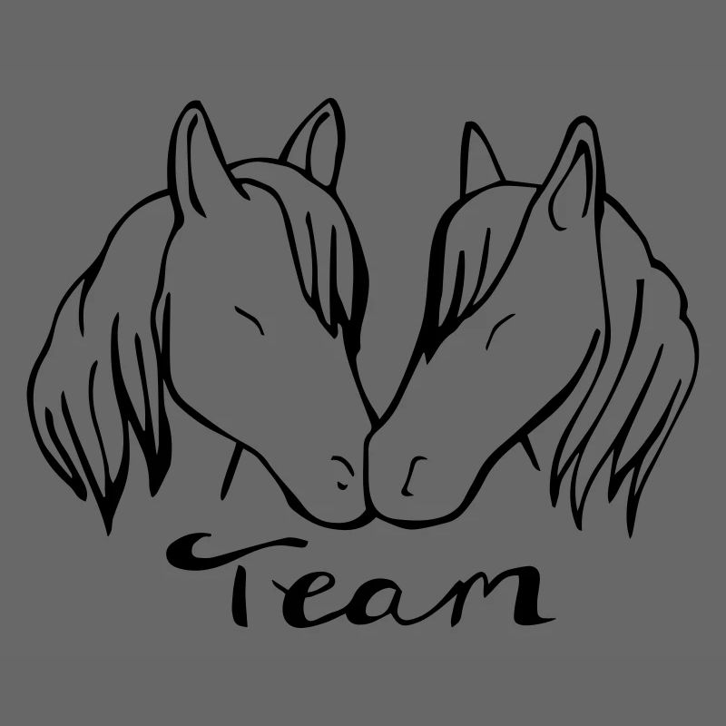 Team Pferd