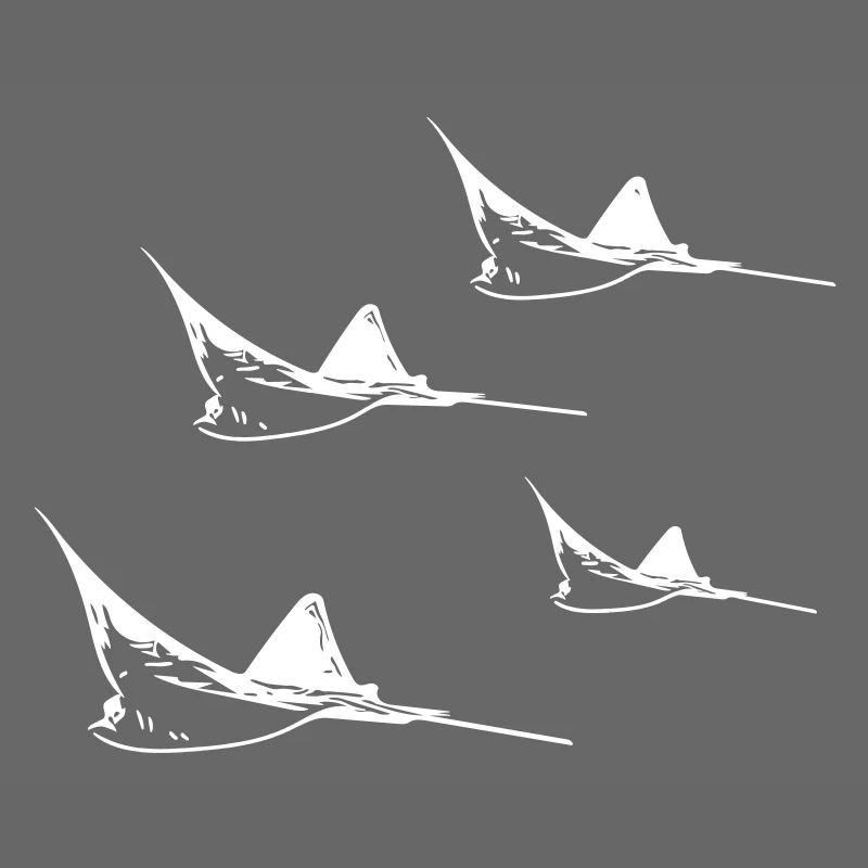 Formation de vol Eagle Ray