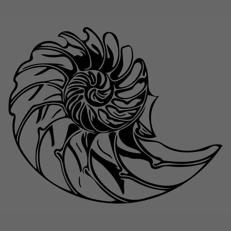 Elegant shell