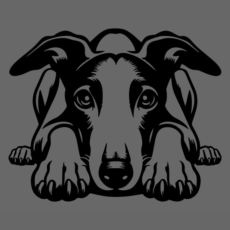 Whippet Kopf mit Pfoten