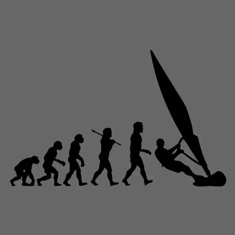 ws01 windsurf evolution