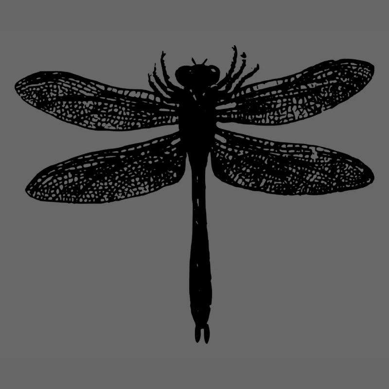 Libelle