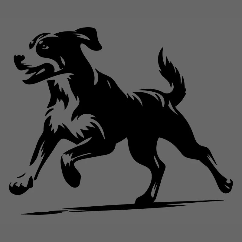Entlebuch Mountain Dog