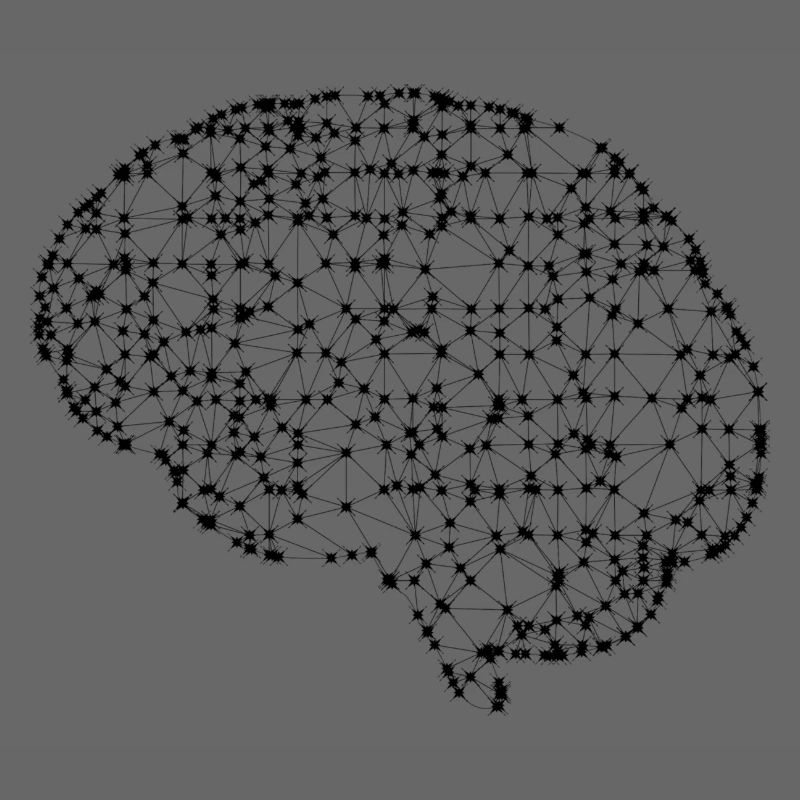 Brain