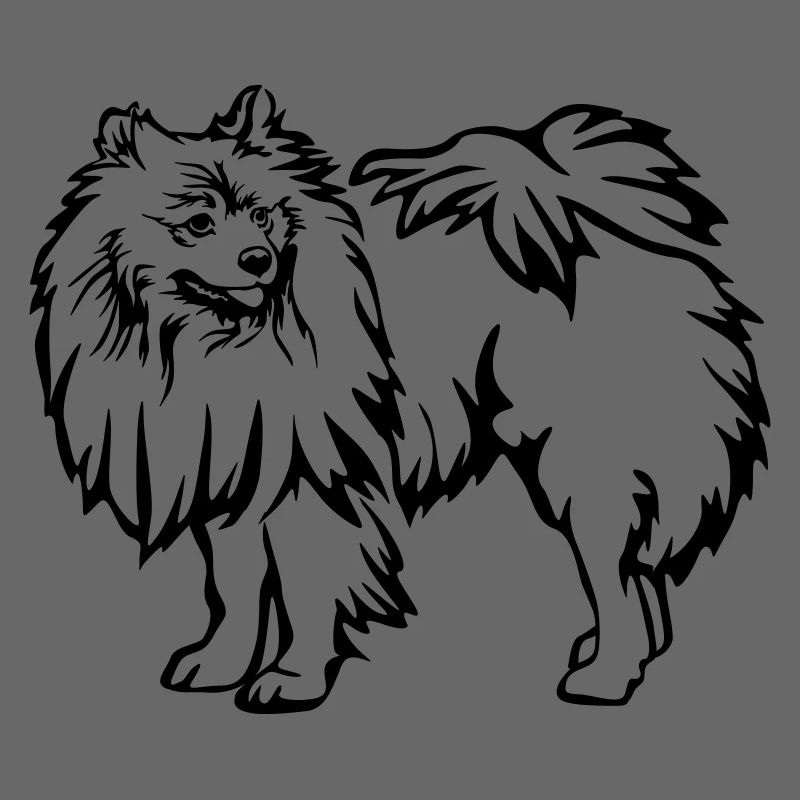 Spitz