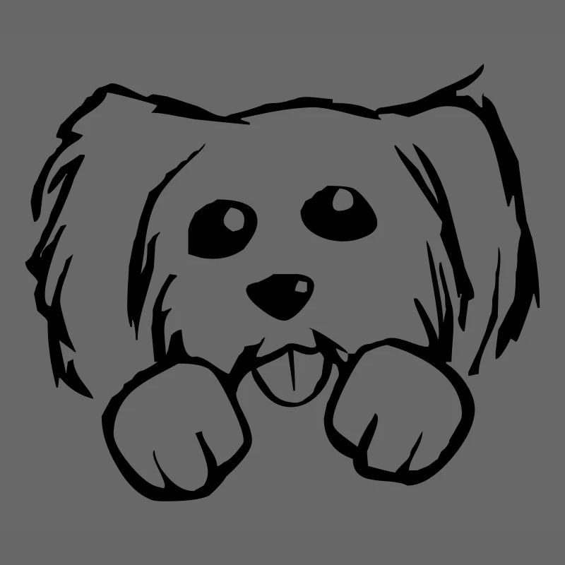 Hund